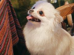 -鱼乐岛餐厅·户外花园主题餐厅