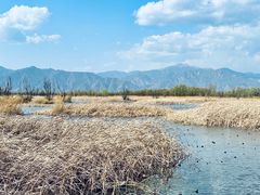 -野鸭湖国家湿地公园