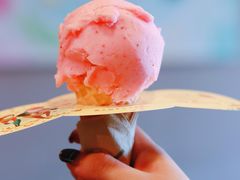 -野人牧坊Gelato(天津南开大悦城店)