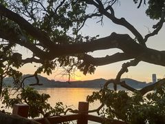 -鹤之洲湿地公园