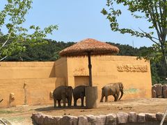 -沈阳森林动物园