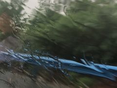 -小李子油焖大虾(南浦店)