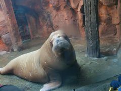 -波塞冬旅游度假区