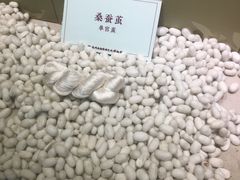 -杭州西湖丝绸文化博物馆