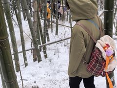-安吉龙王山风景区