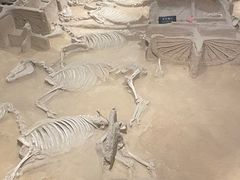 -洛阳周王城天子驾六博物馆