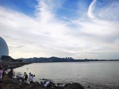 -野狸岛
