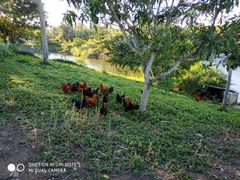 -三亚珠江南田温泉度假区