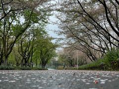 -白塘生态植物园