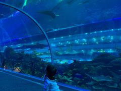 -成都浩海立方海洋公园