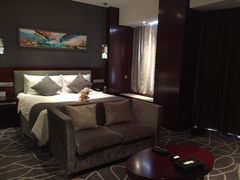 -常州环球恐龙城维景国际大酒店