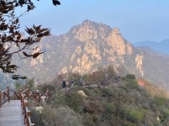-大岭沟猕猴桃谷风景区