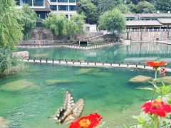 -河南宝泉旅游区