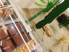 -OUR Bakery(SKP-S店)