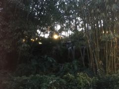 -湖泉半山温泉