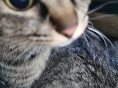 -北京赛佳动物医院