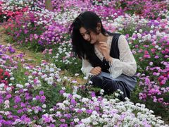 -天适樱花悠乐园
