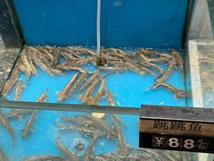 -舌尖上·霞浦滩涂海鲜·新闽菜(总店)