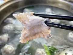 鲮鱼肚-章记正宗南岗鱼蛋火锅