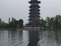 -洋湖国家湿地公园