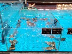 -艳阳天·非遗楚菜(武汉客厅店)