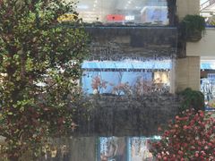 -赛格国际购物中心(小寨店)