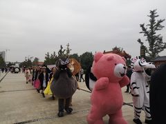 -曹州牡丹园