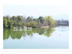 -西溪国家湿地公园