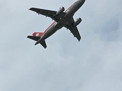 -空港花田景区