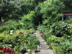 -谷咖啡·鲜花绿植花园餐厅
