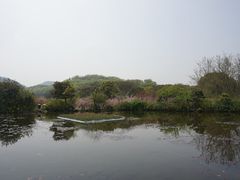 景点-白马涧龙池景区