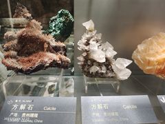-中国地质博物馆