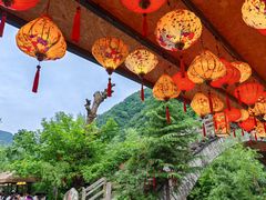 -牛背梁国家森林公园