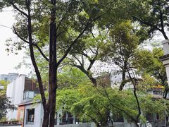 -芙蓉堂(武汉天地店)