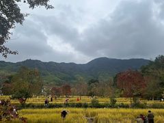 -塔川景区