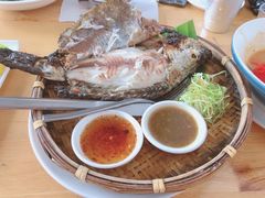 -yes or no(南部商务区店)