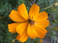 -桤木河湿地公园