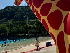 -重庆海昌加勒比海水世界