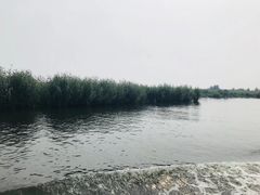 -白洋淀景区