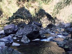 -溪口-滕头旅游景区