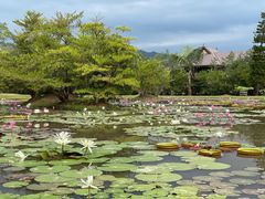 -中国科学院西双版纳热带植物园