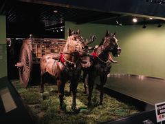 -鄂尔多斯青铜器博物馆