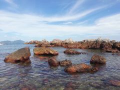 -西涌国际滨海旅游区