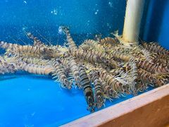 -龙兴食府(锦绣家园店)