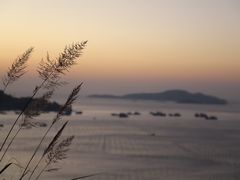 -小皓村