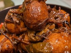 酱土豆-食家鸽园