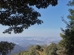 -梧桐山风景名胜区