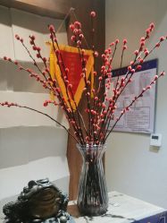 -香秀空间科技抗衰·美容中心