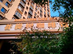 -菩提树咖啡馆日咖晚酒(龙湖店)