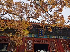 -香山公园